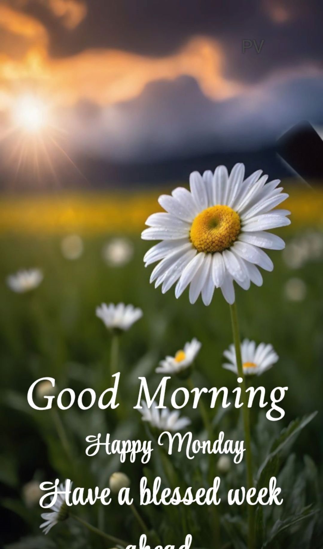 feliz jueves bonito